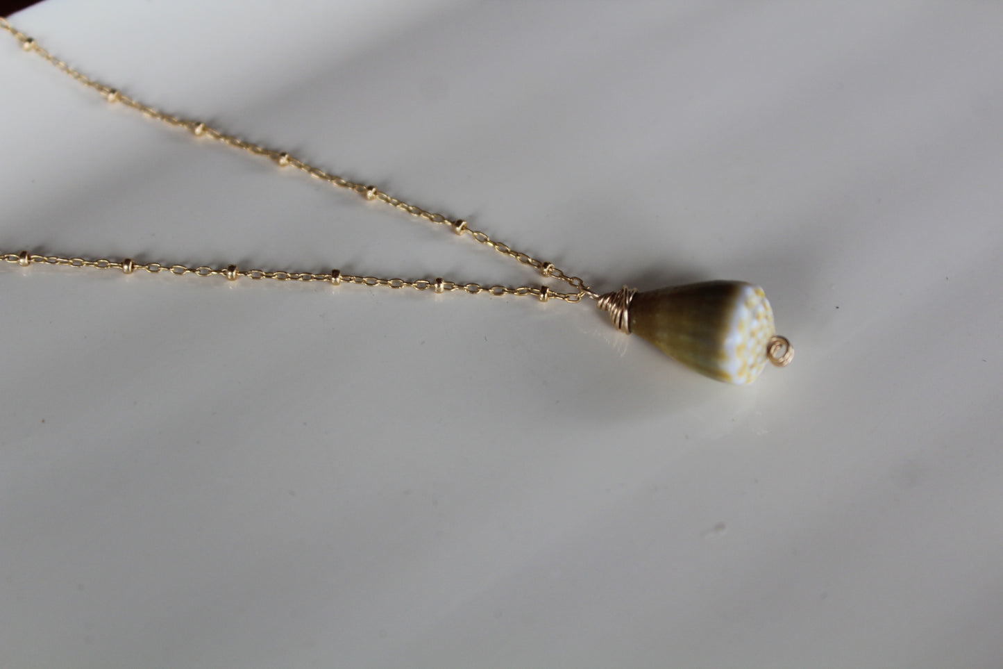 Green cone shell