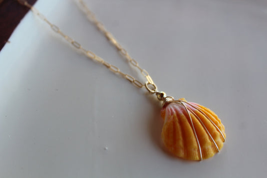 Sunrise Shell Necklace