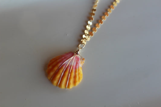 Sunrise Shell Necklace