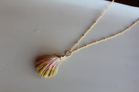 Moon rise shell Necklace