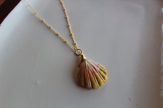 Moon rise shell Necklace