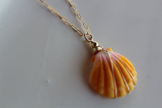 Sunrise Shell Necklace