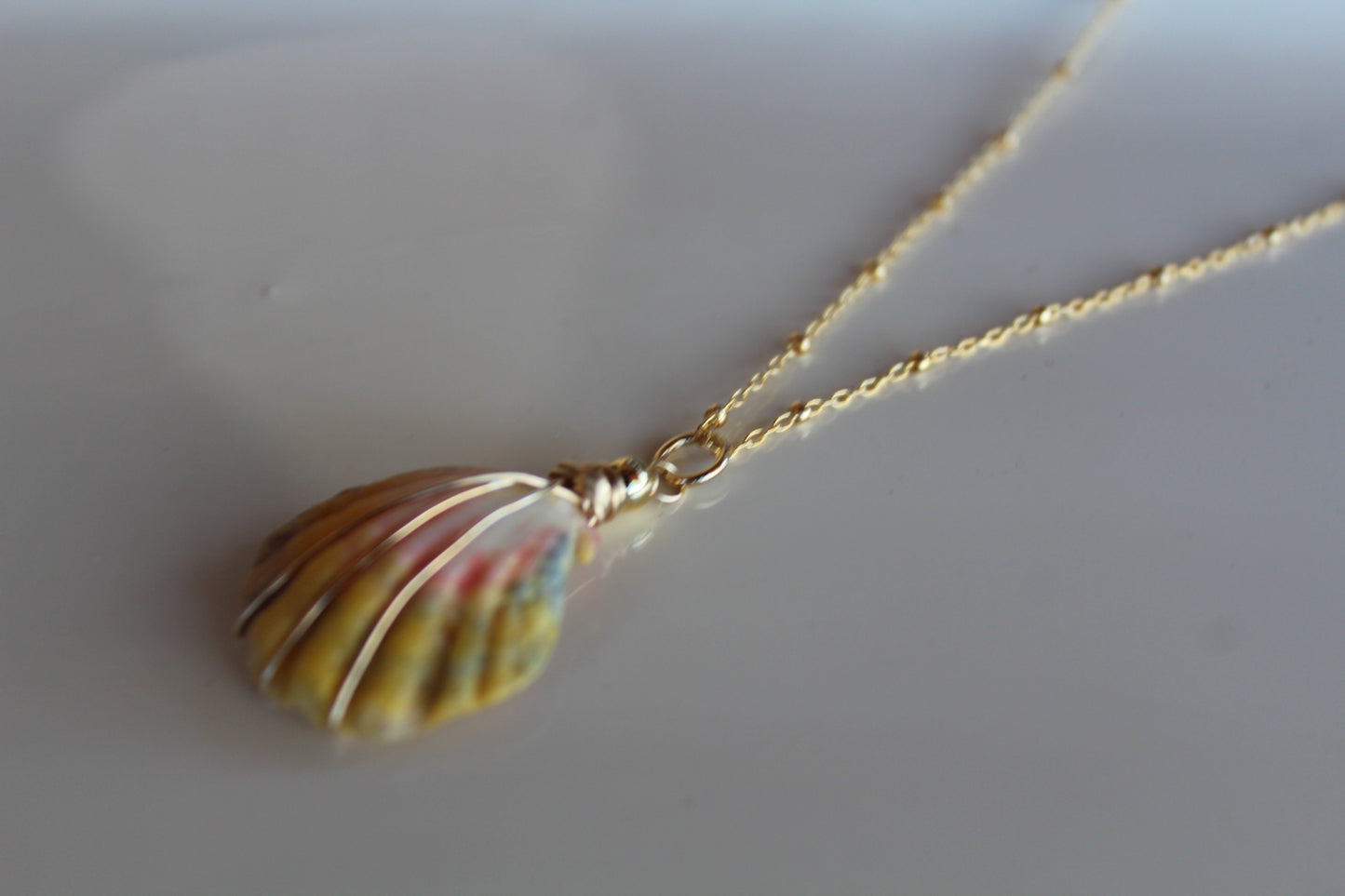 Moon rise shell Necklace