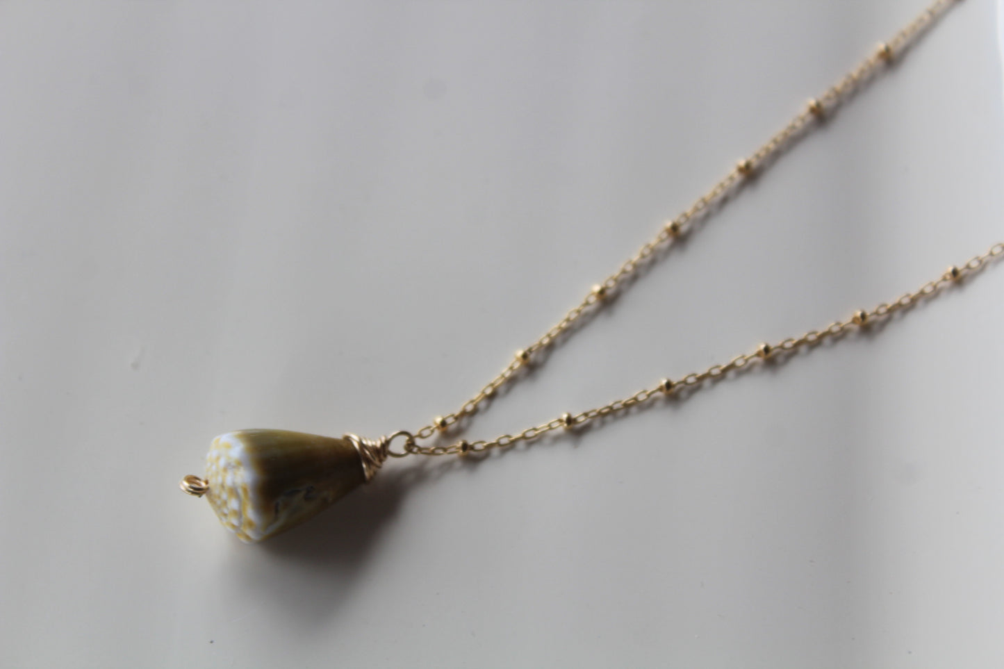 Green cone shell